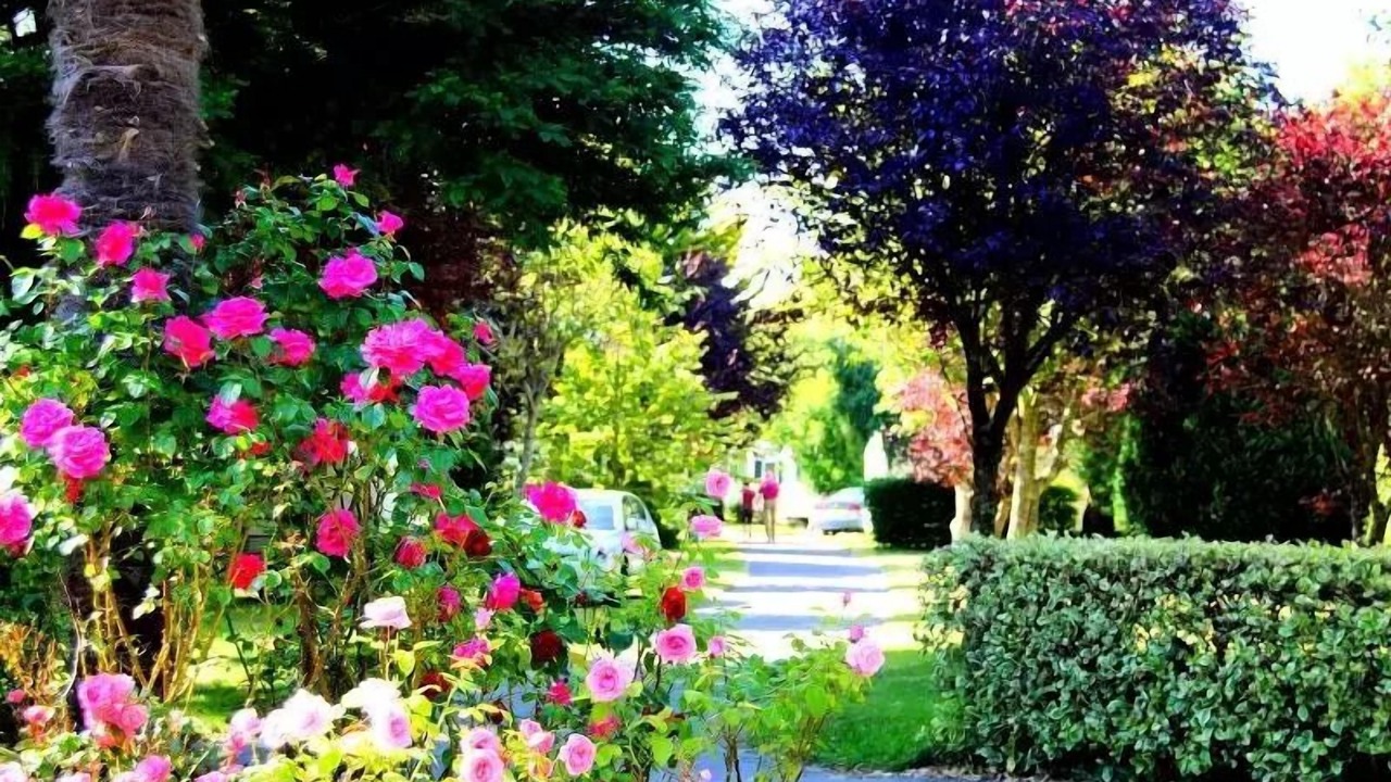 Photo of Outdoor in Nevez