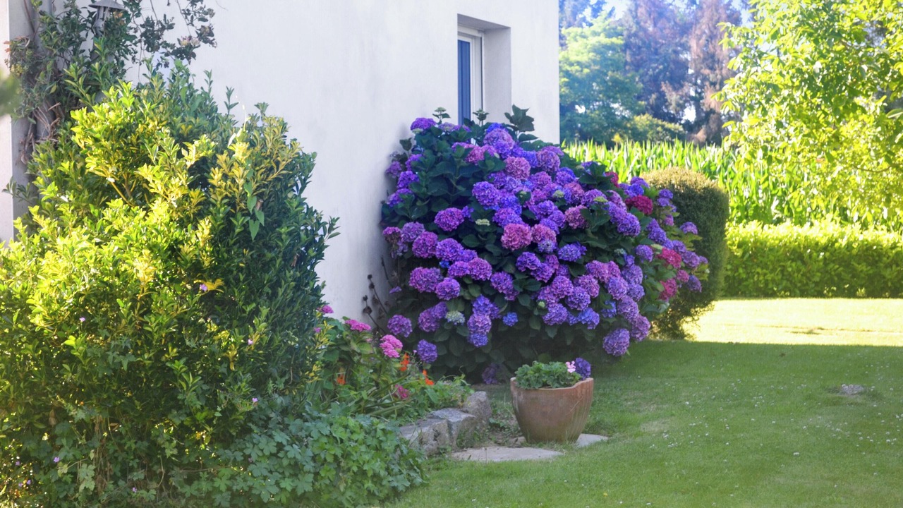 Photo of Outdoor in Tregomeur
