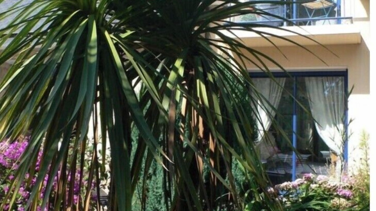 Photo of Outdoor in Baden