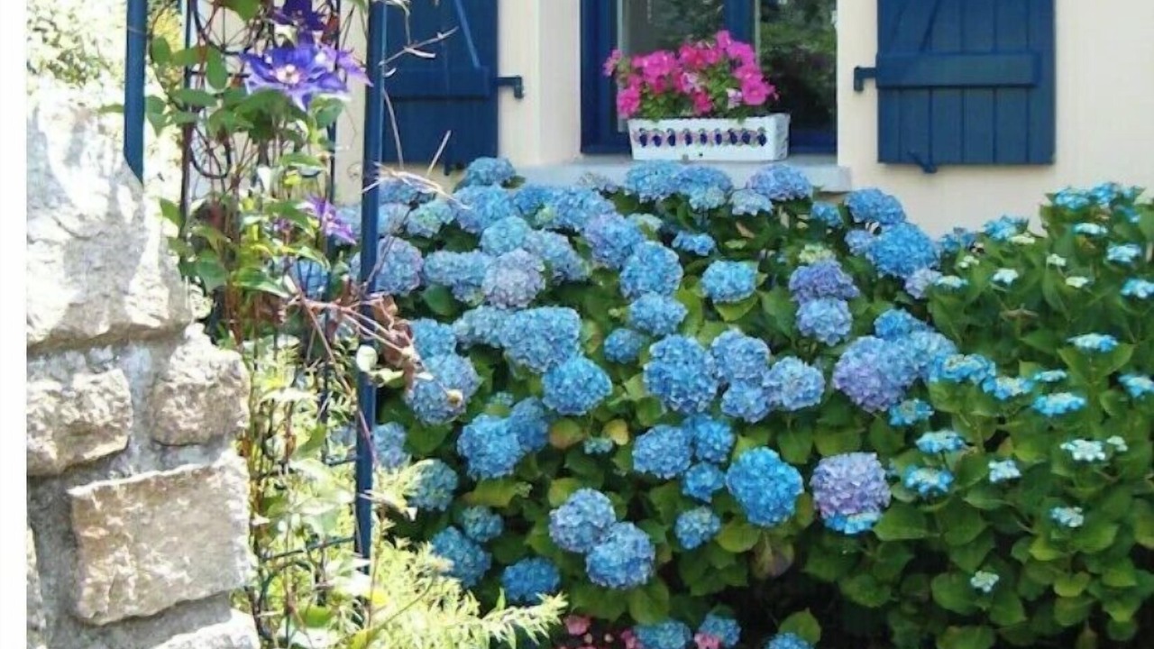 Photo of Outdoor in Baden