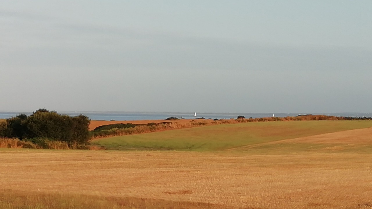Photo of Others in Tregunc