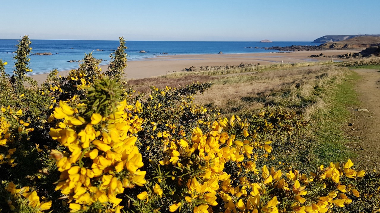 Photo of Others in Pleherel-Plage-Vieux-Bourg