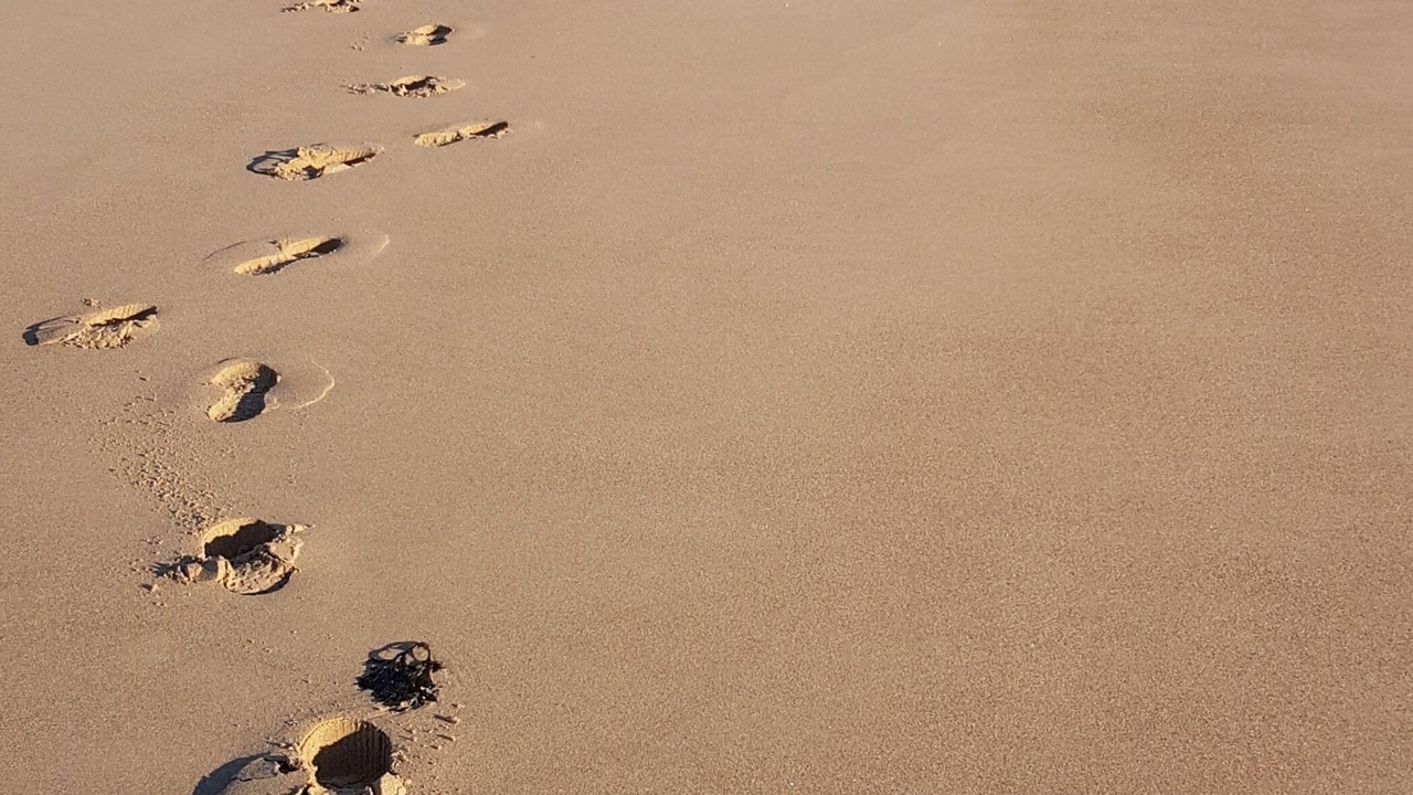 Photo of Others in Pleherel-Plage-Vieux-Bourg