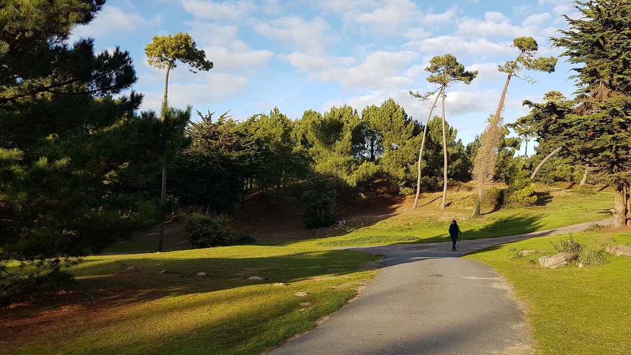 Photo of Others in Pleherel-Plage-Vieux-Bourg