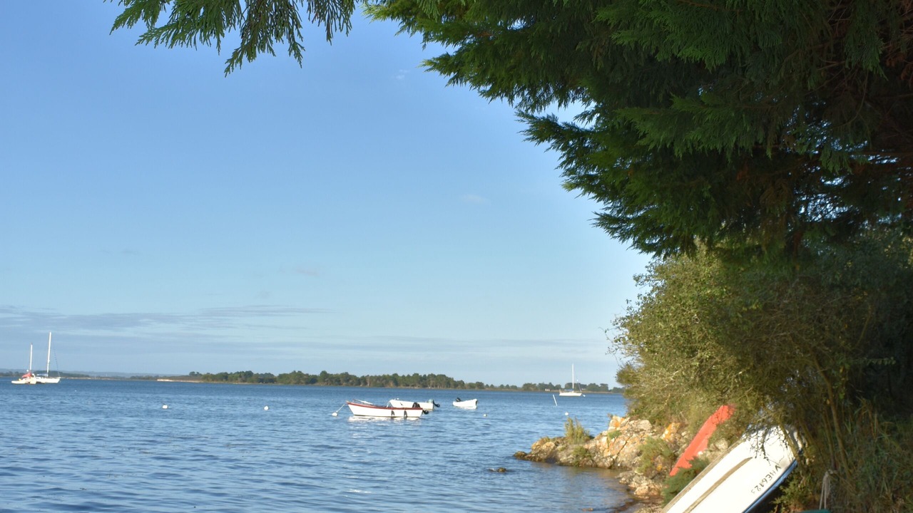 Photo of Others in Sarzeau