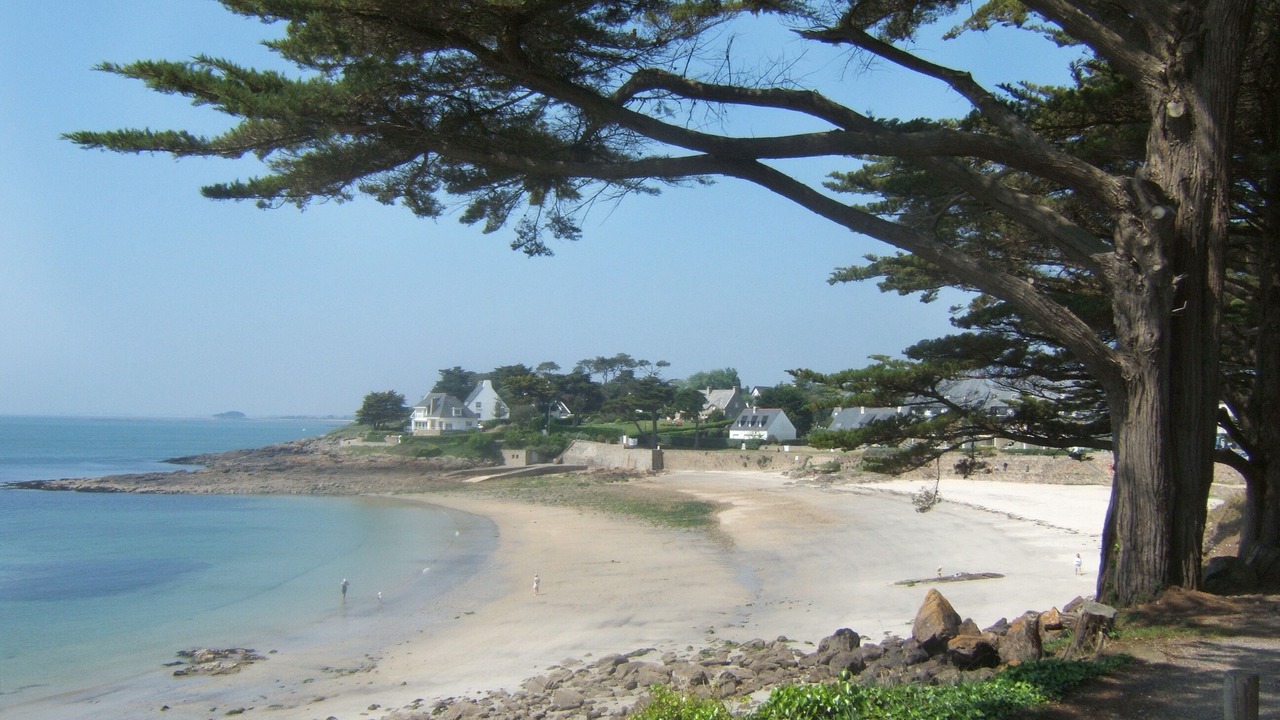Photo of Others in Arzon