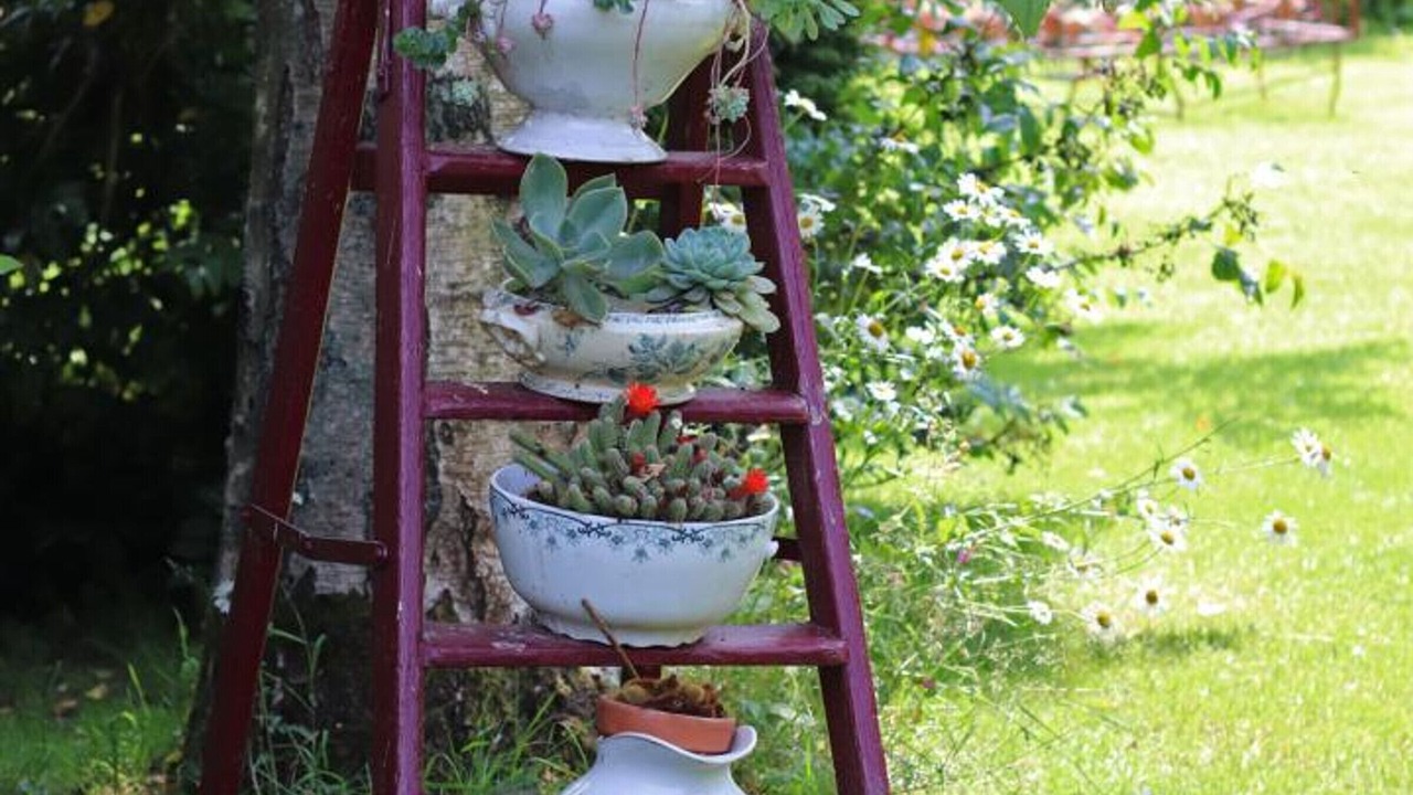 Photo of Outdoor in La Carneille