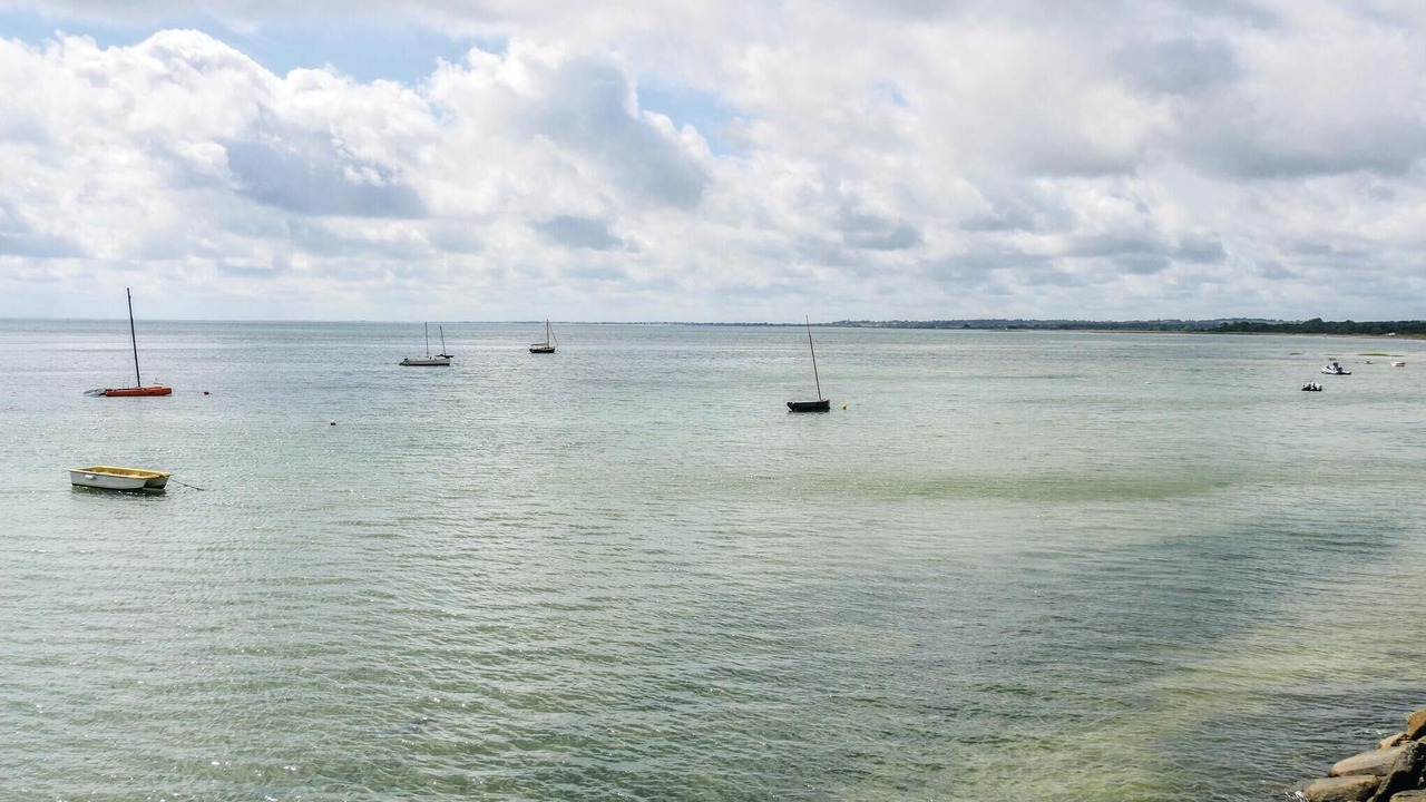 Photo of Others in Morsalines