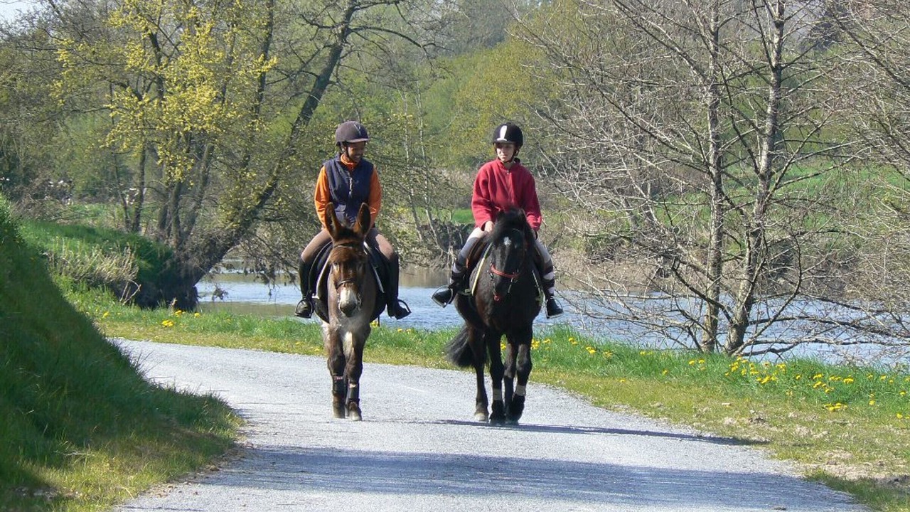 Photo of Others in Saint-Jean-de-Savigny
