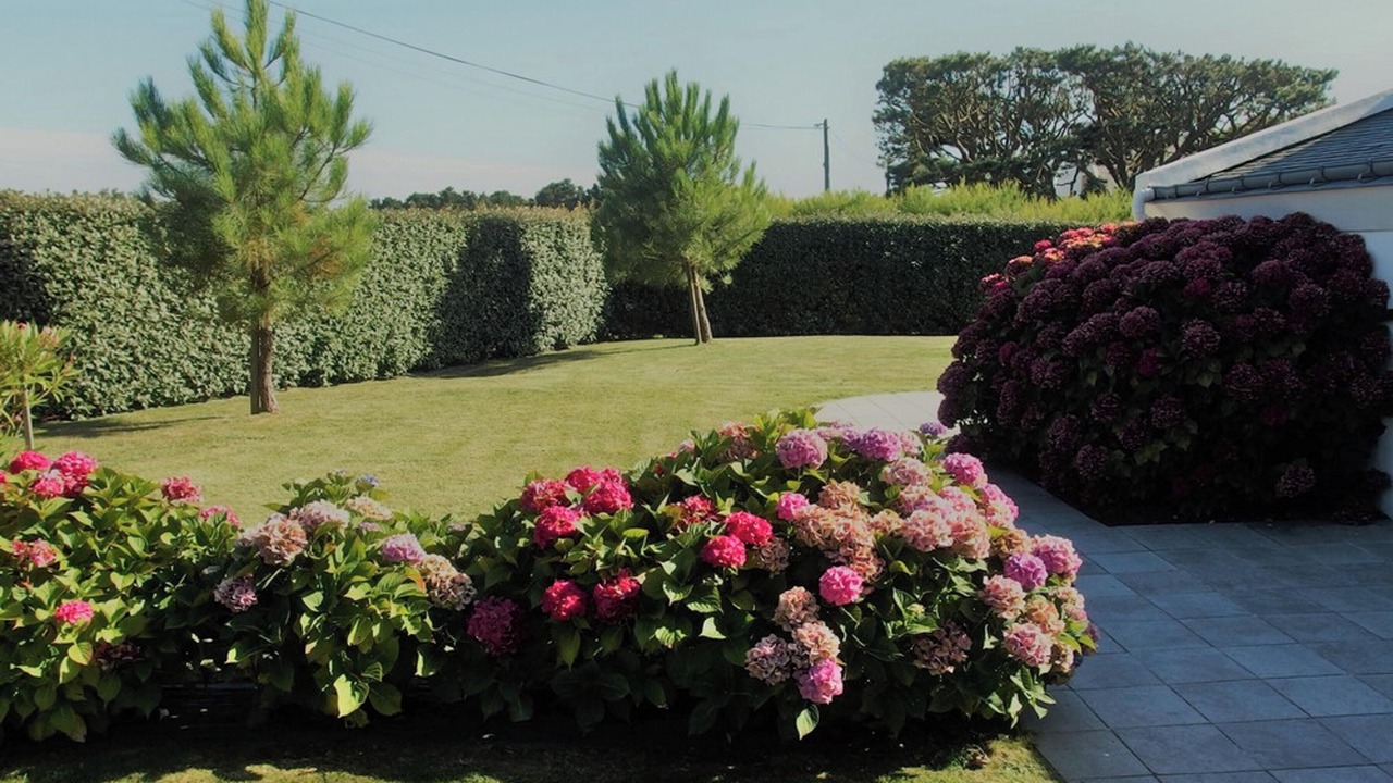 Photo of Outdoor in Bangor