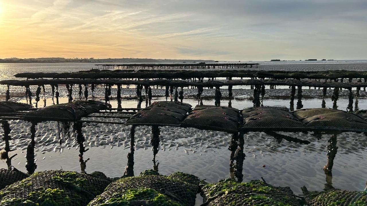 Photo of Outdoor in Asnelles