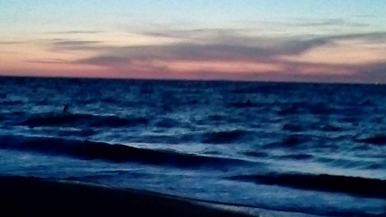 Photo of Others in Merville-Franceville-Plage