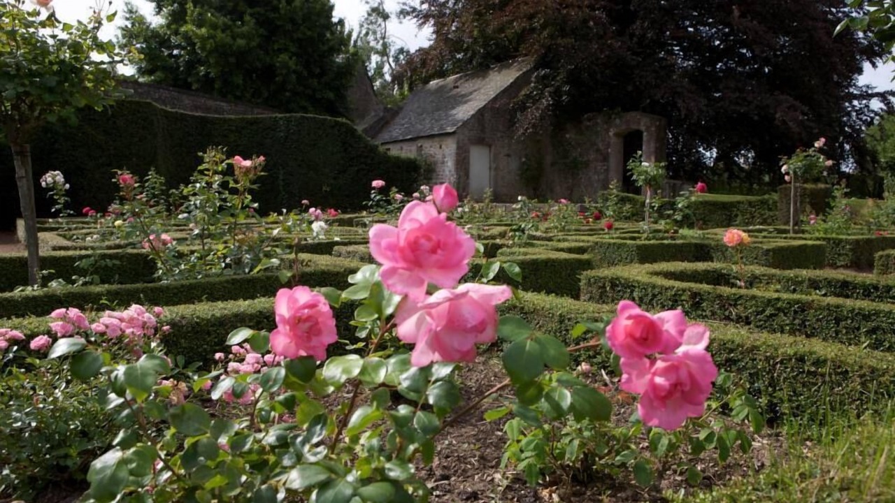 Photo of Outdoor in Valognes