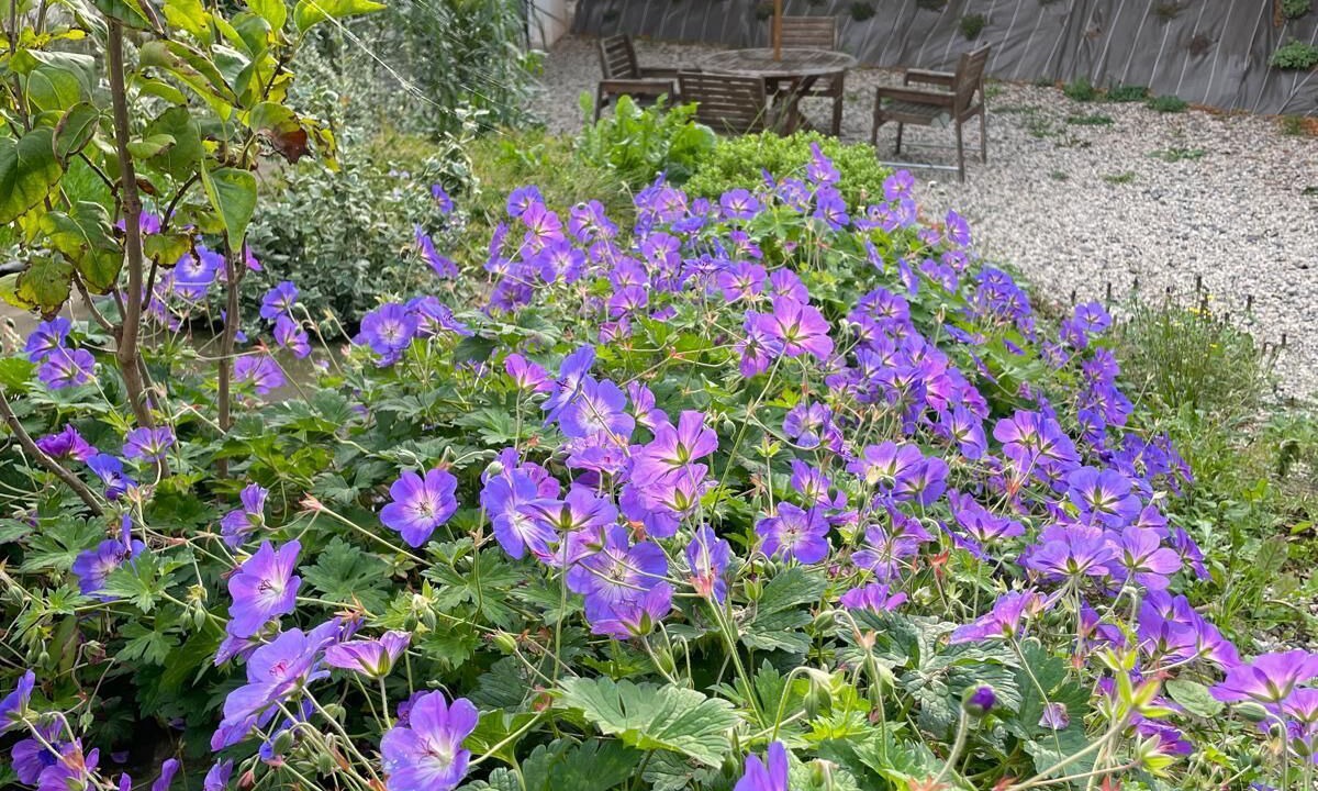 Photo of Outdoor in Isigny-sur-Mer