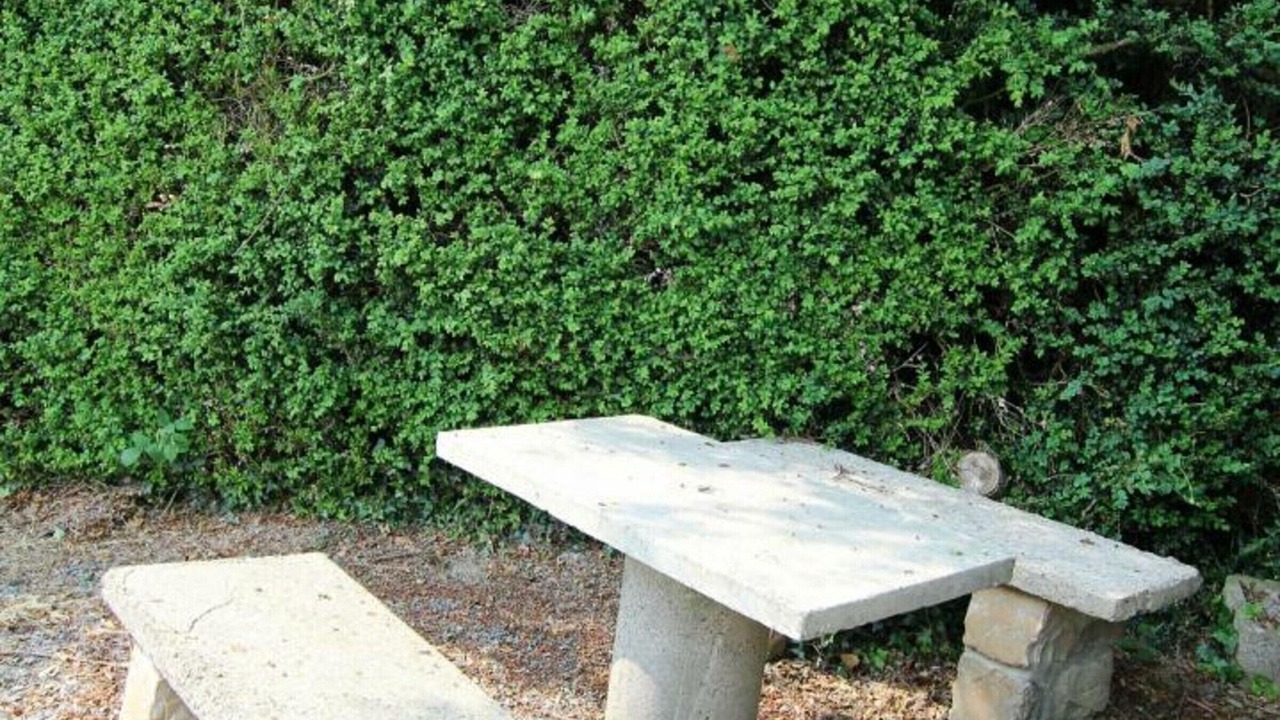 Photo of Outdoor in Berigny