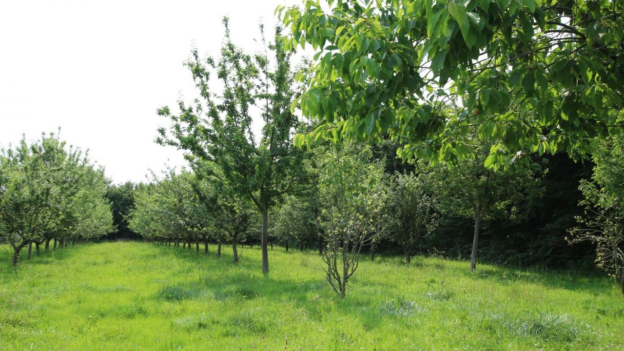 Photo of Outdoor in Berigny