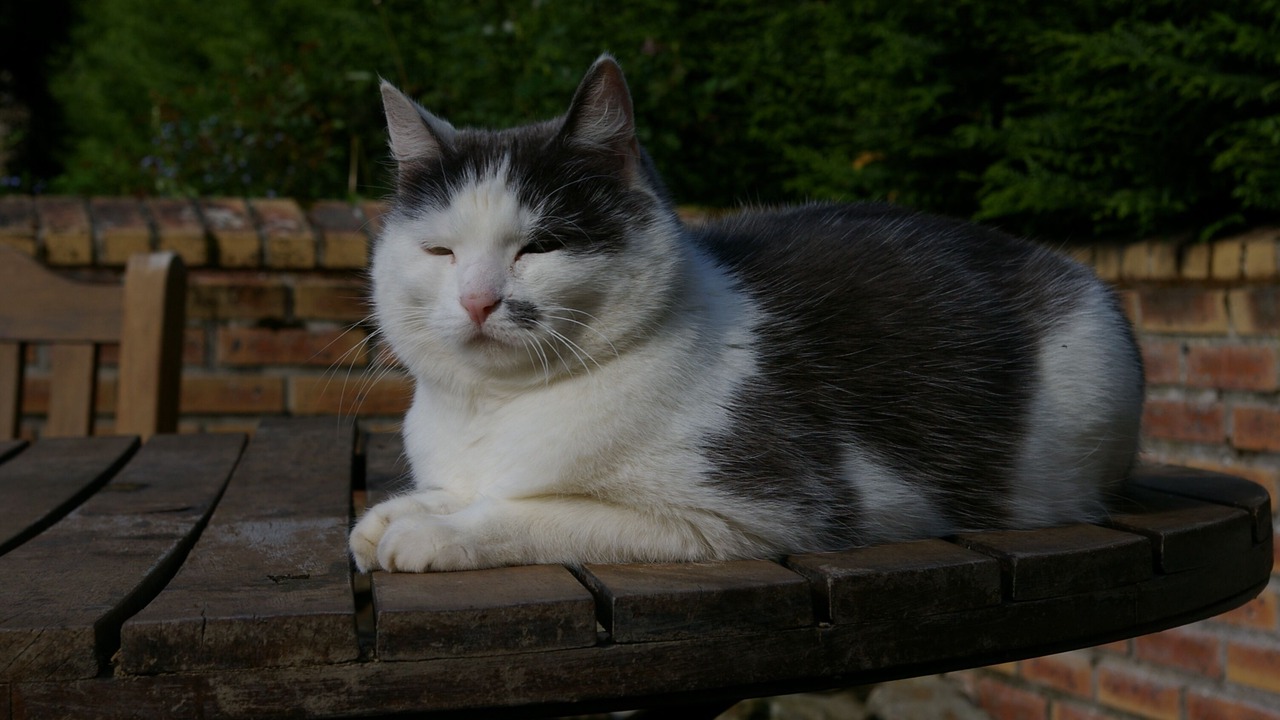 Photo of Others in Macey