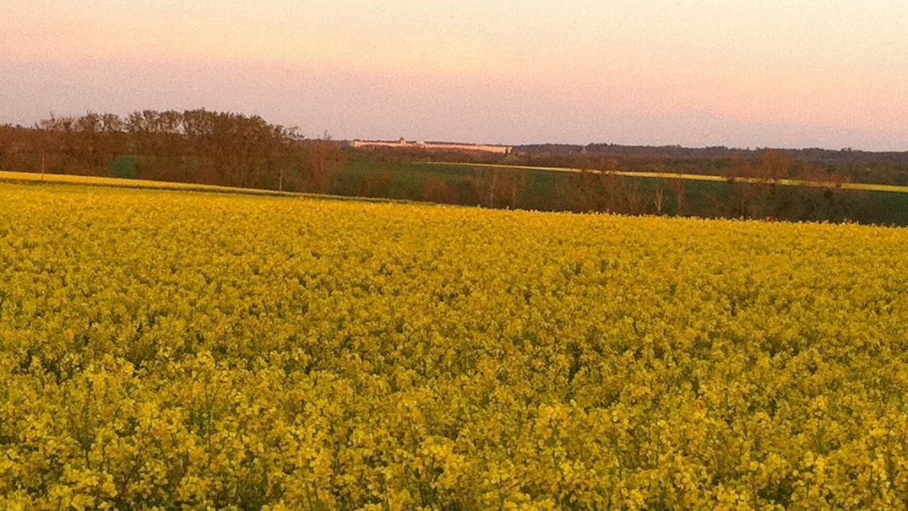 Photo of Others in Bailly