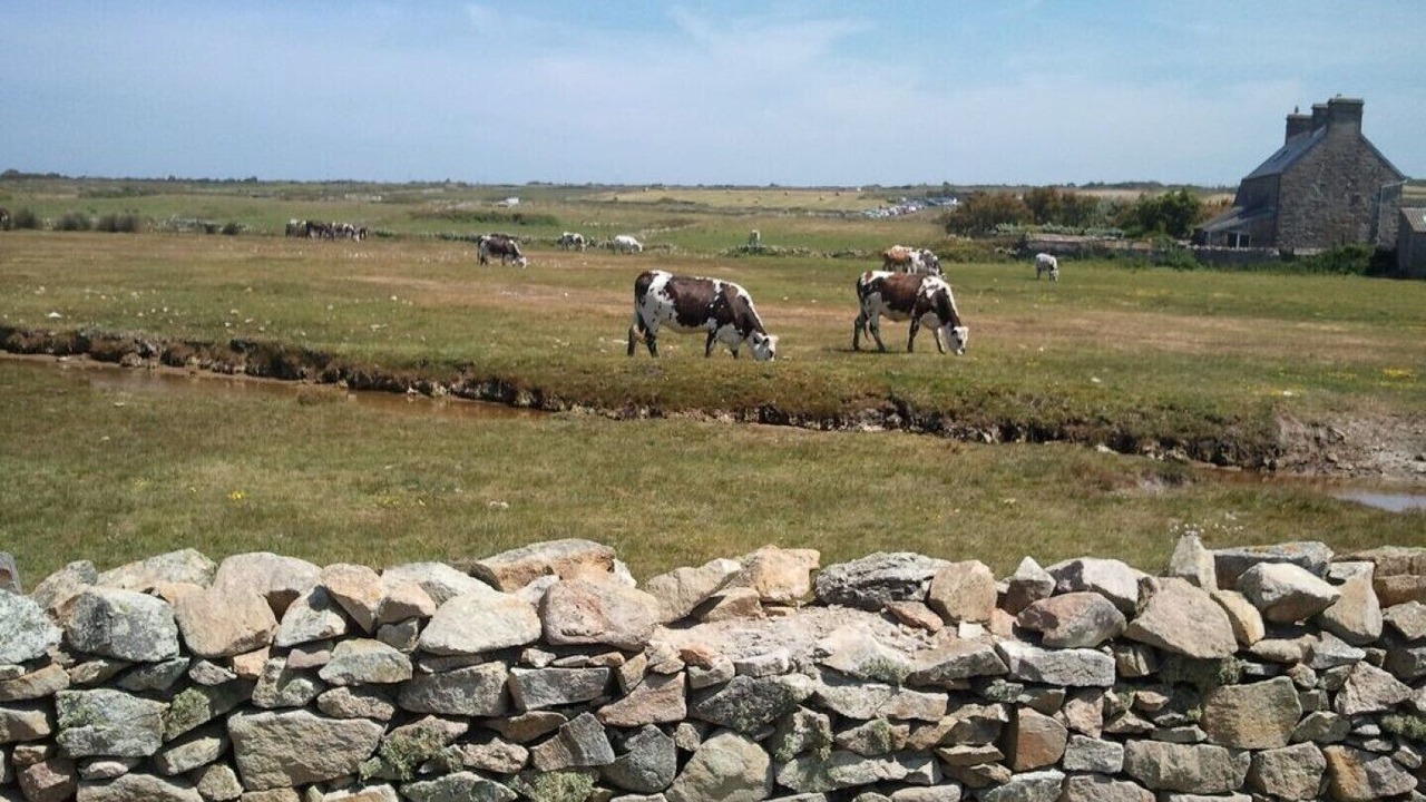 Photo of Others in Saint-Marcouf