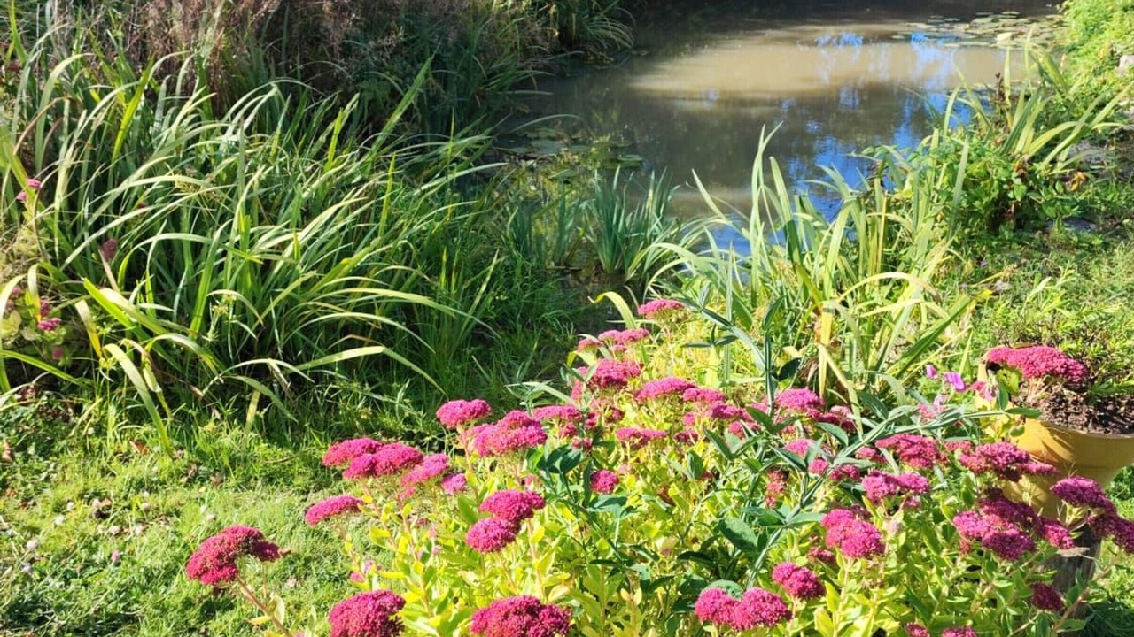 Photo of Outdoor in Lhomme