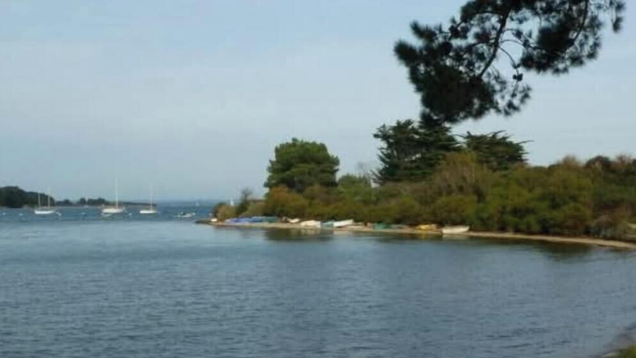 Photo of Others in Arzon