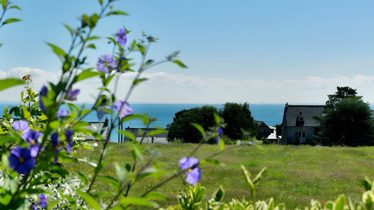 Photo of Outdoor in Cancale