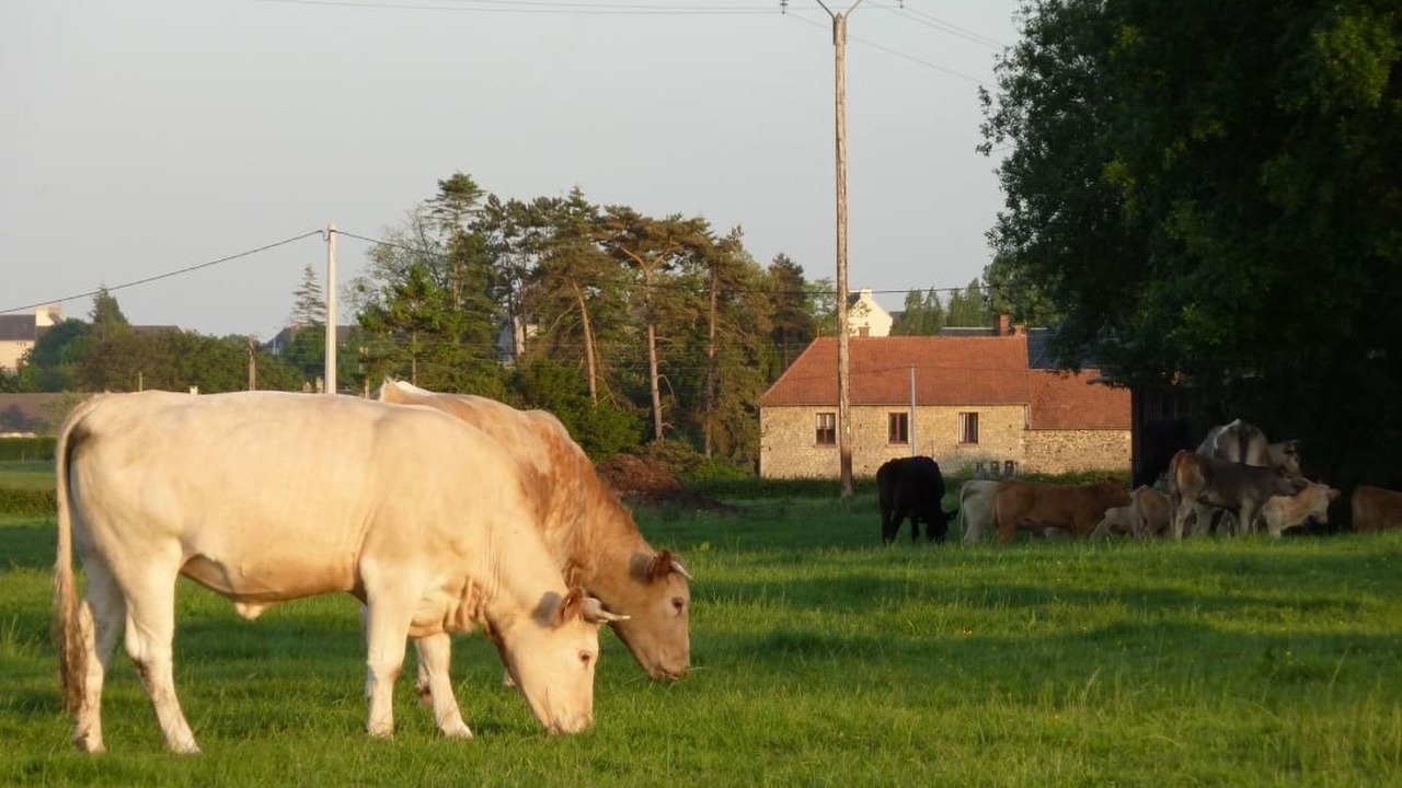 Photo of Others in Terre-et-Marais