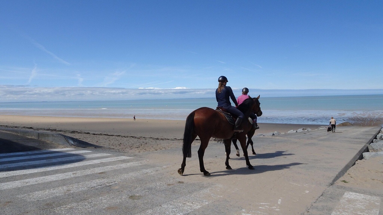 Photo of Others in Gouville-sur-Mer