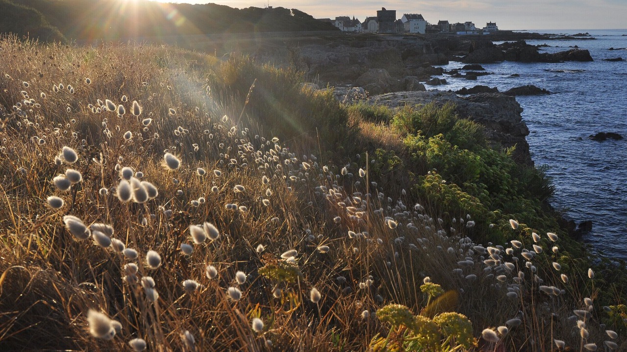 Photo of Others in Le Pouliguen