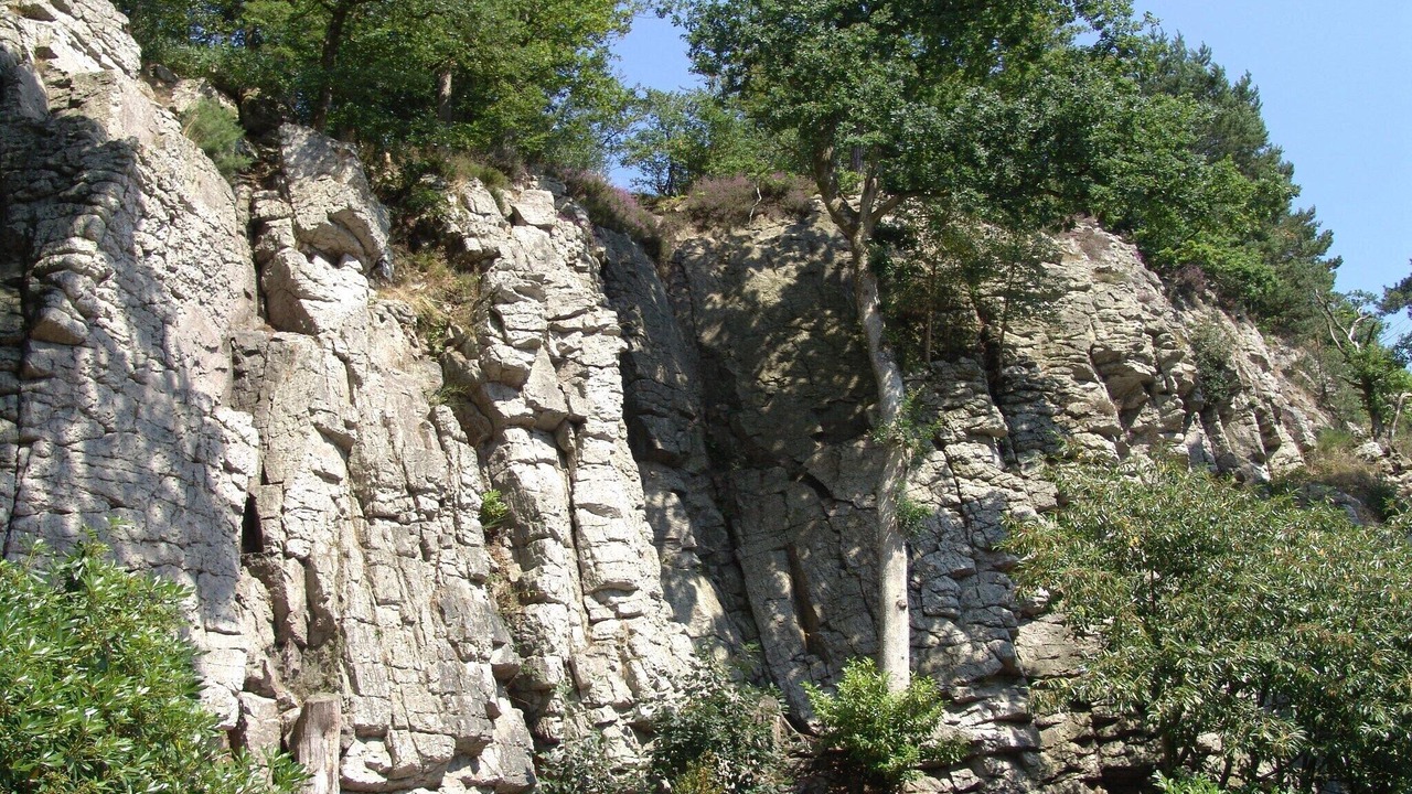 Photo of Others in Bagnoles-de-l'Orne
