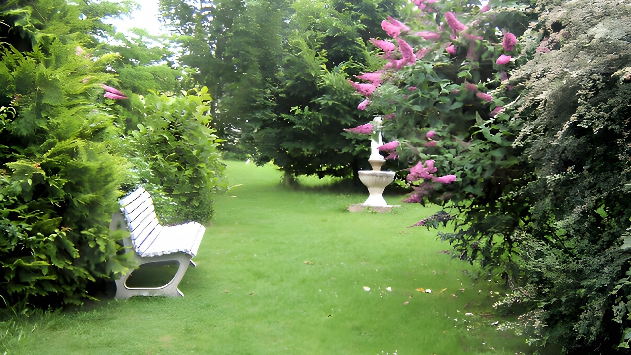 Photo of Outdoor in Bacilly