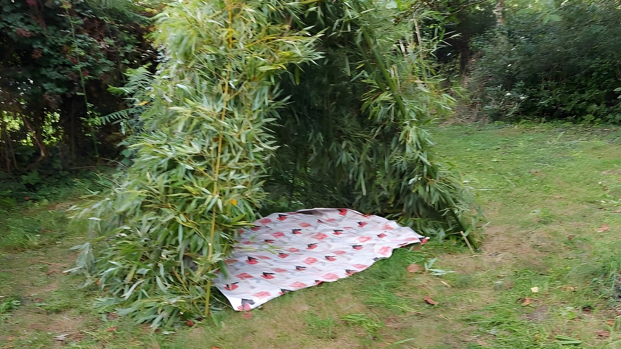 Photo of Outdoor in Bacilly