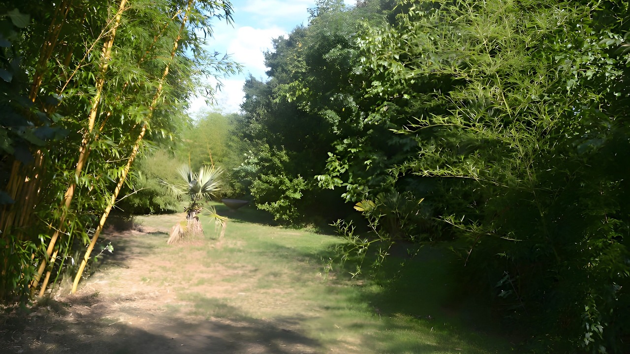 Photo of Outdoor in Bacilly