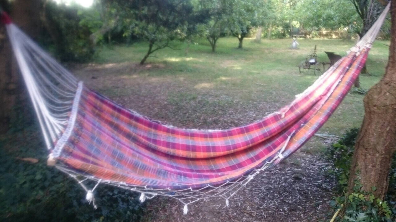 Photo of Outdoor in Bacilly