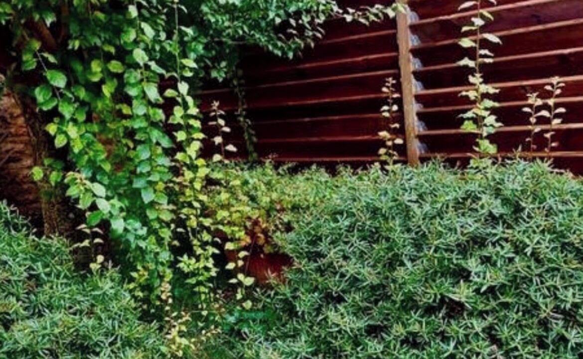Photo of Outdoor in Periers-sur-le-Dan