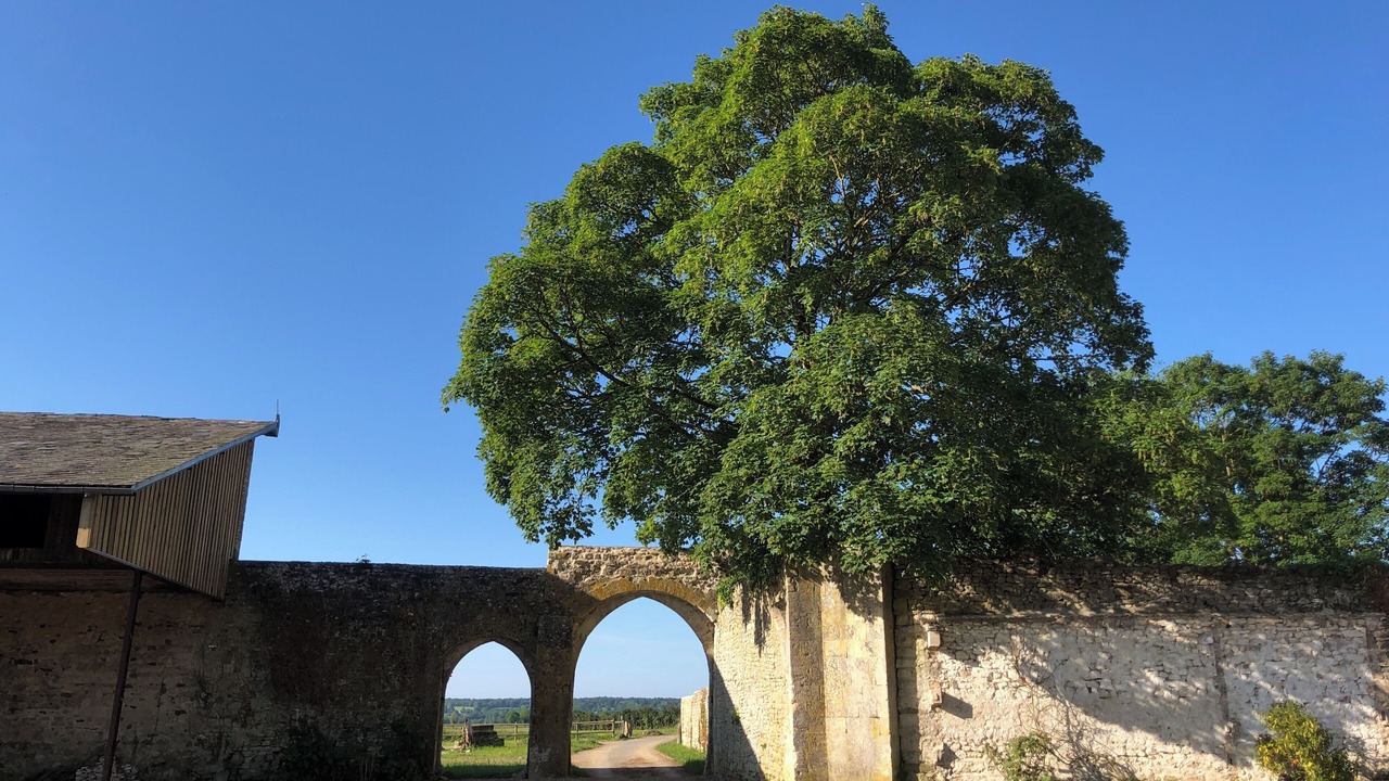 Photo of Others in Noron-l'Abbaye