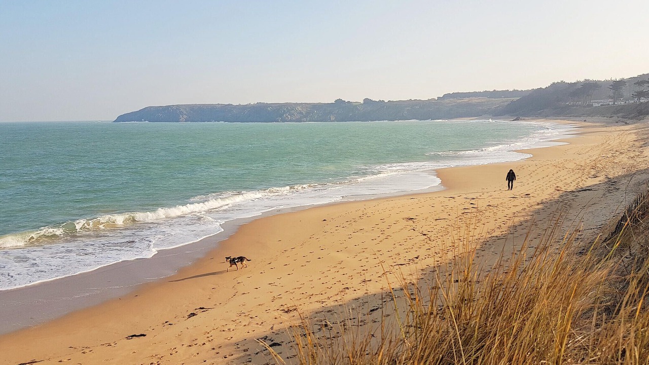 Photo of Others in Le Vivier-sur-Mer