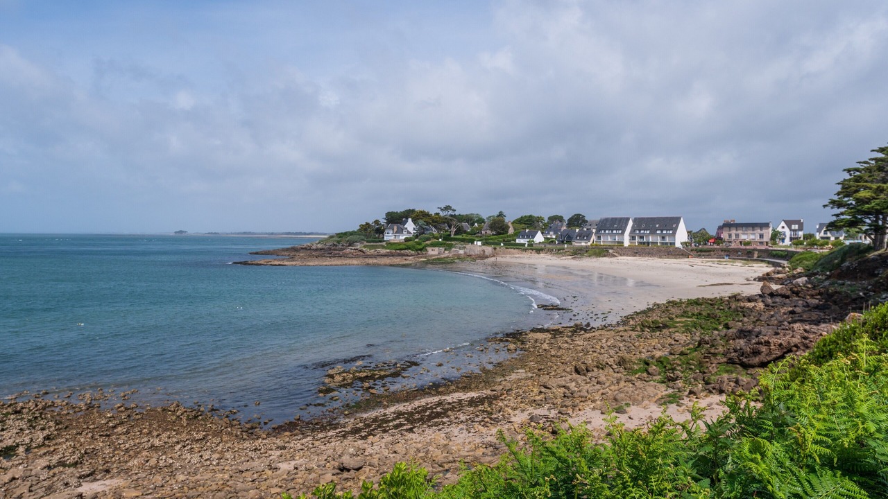Photo of Others in Arzon