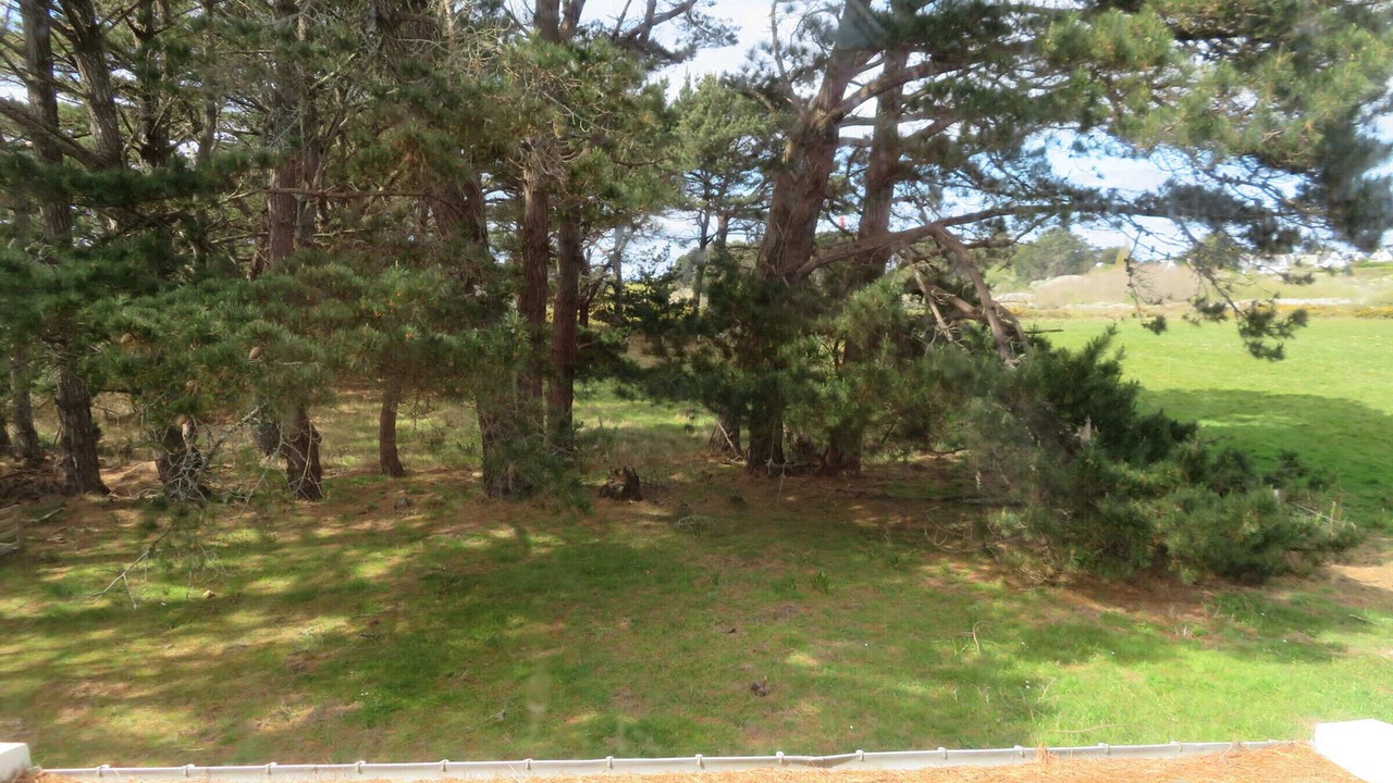 Photo of Outdoor in Bangor