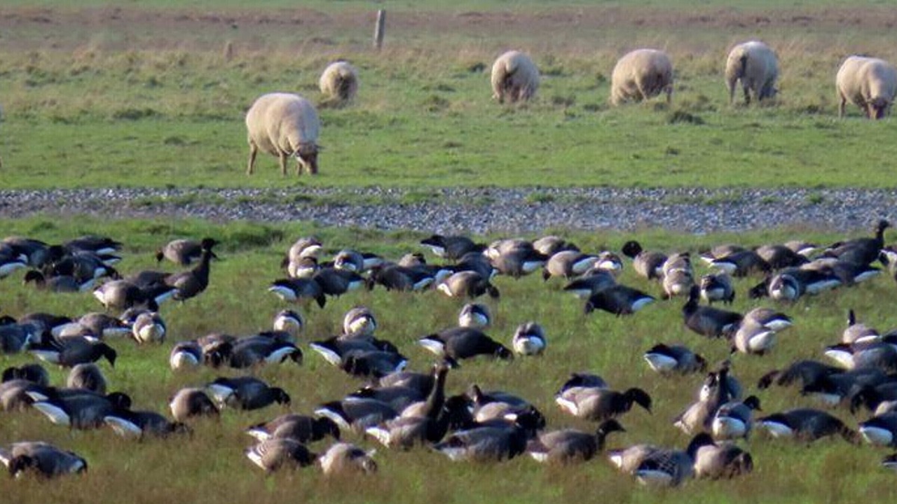 Photo of Others in Ceaux