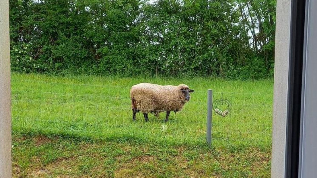 Photo of Others in Ceaux