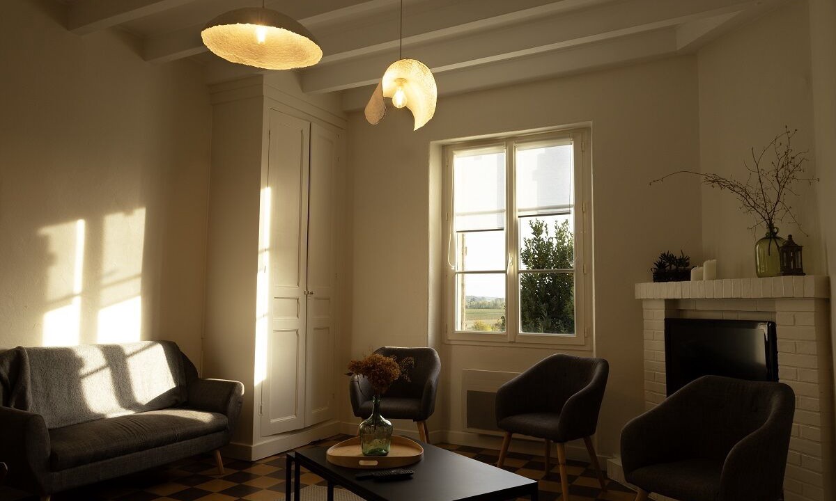 Photo of Livingroom in Cravant-les-Coteaux