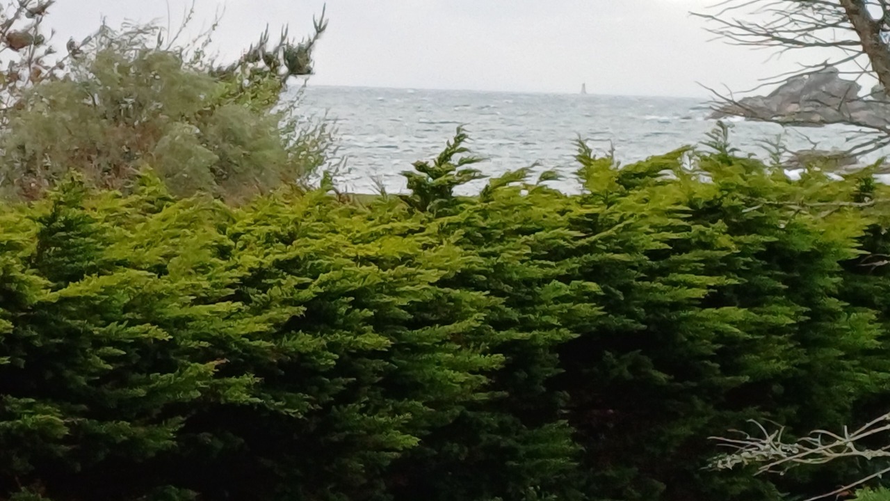Photo of Others in Cote de Granit Rose