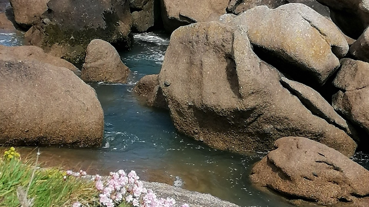 Photo of Others in Cote de Granit Rose