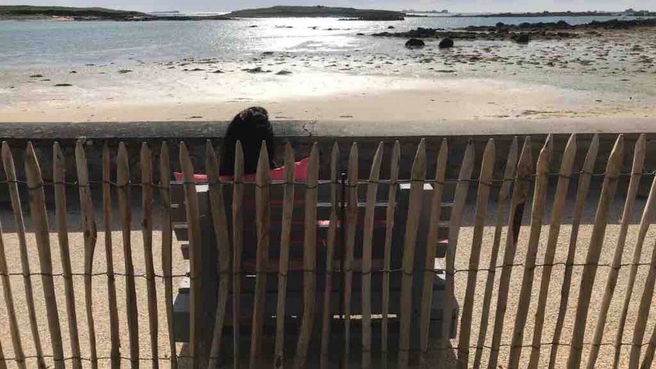 Photo of Others in L'Aber Vrac'h