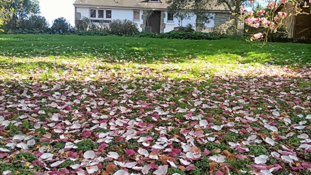 Photo of Outdoor in La Foret-Fouesnant