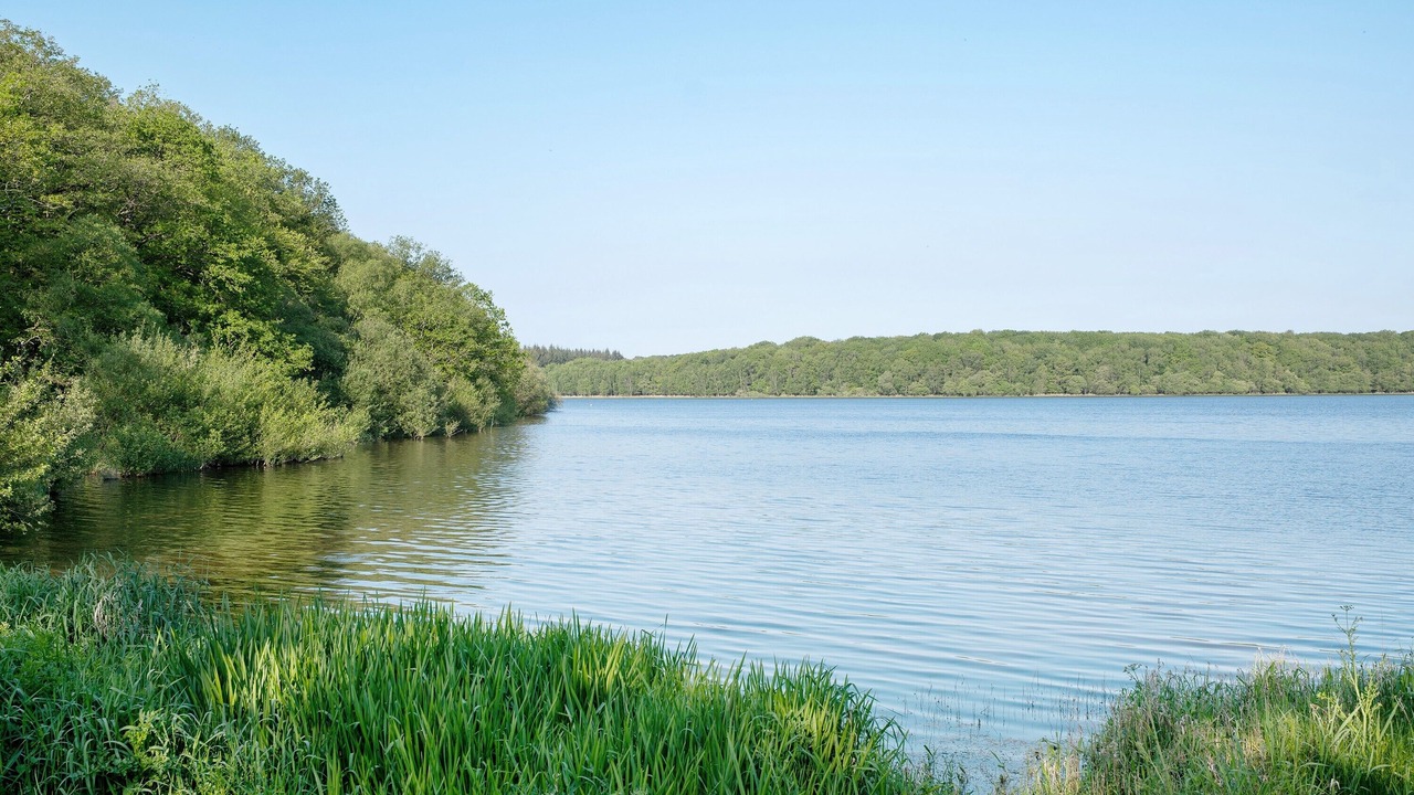 Photo of Others in Merdrignac