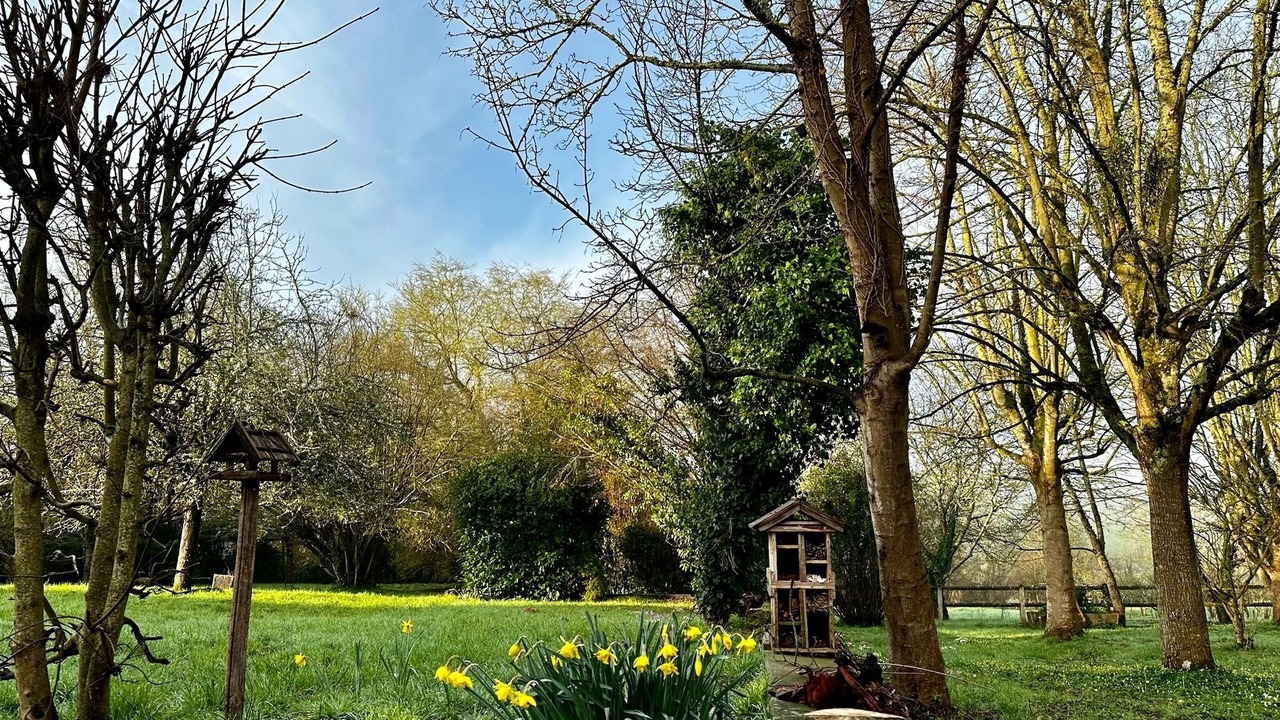 Photo of Outdoor in La Chapelle-Souef