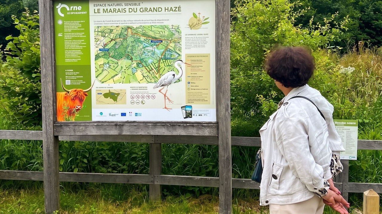 Photo of Others in La Ferriere-aux-Etangs