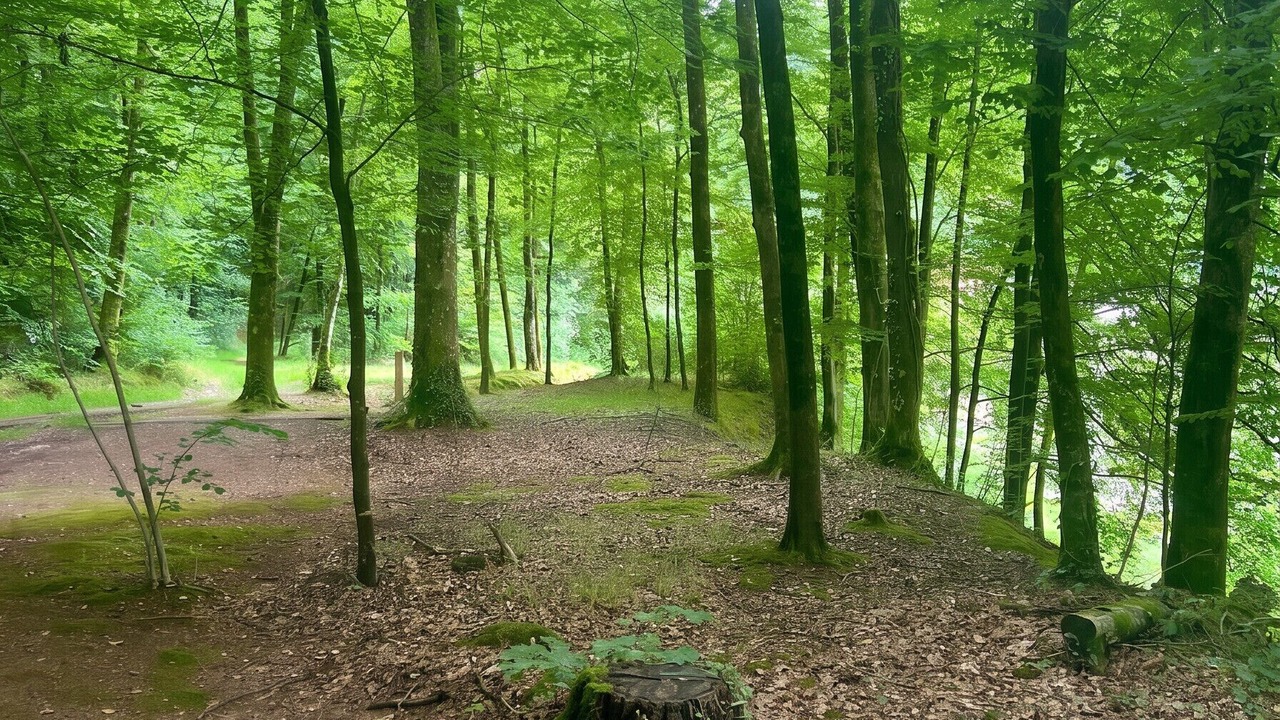 Photo of Others in La Ferriere-aux-Etangs